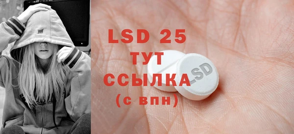 индика Верея