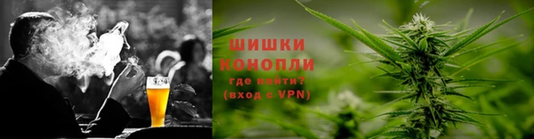 индика Верея