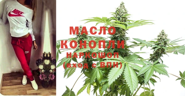 индика Верея