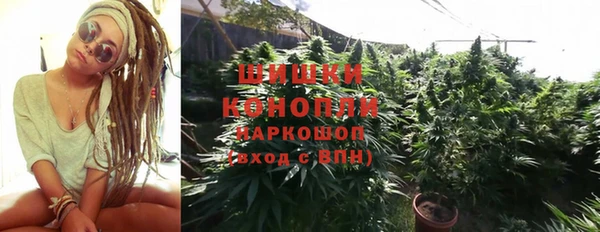 индика Верея