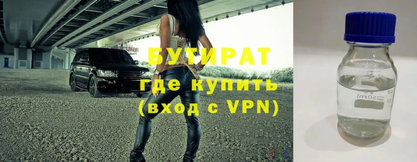 индика Верея