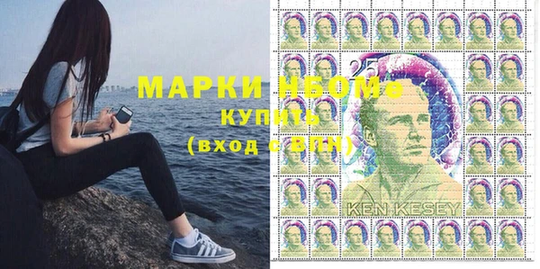 индика Верея