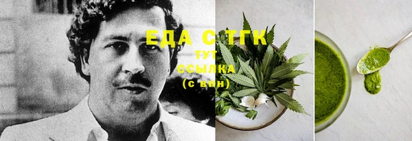 индика Верея