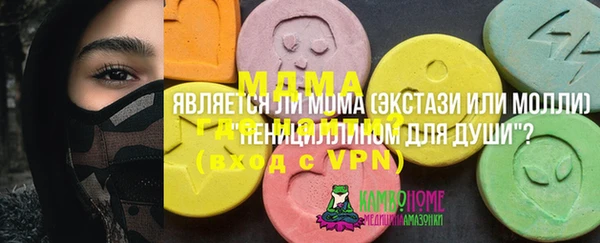 индика Верея