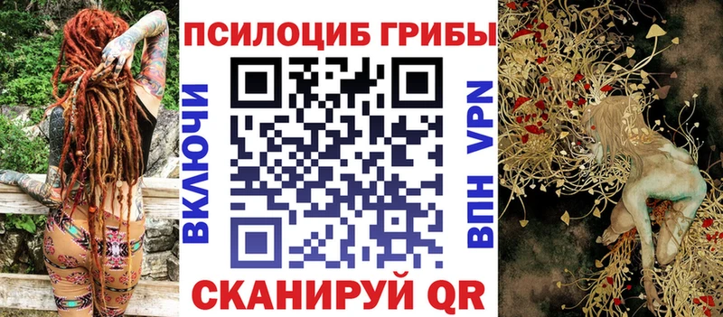Псилоцибиновые грибы Cubensis Ахтырский